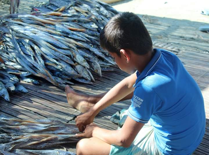 USCRI Webinar: The Dried Fishing Industry in Bangladesh