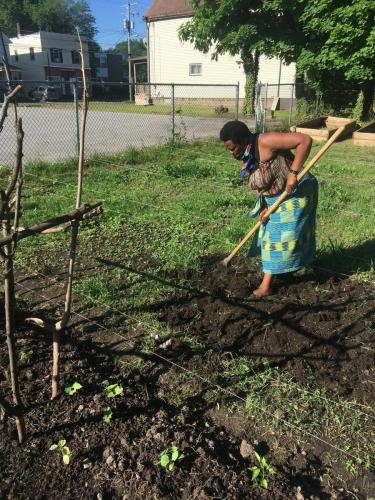 Community-Garden-2020-5